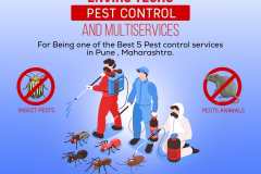 Pest Control Services
