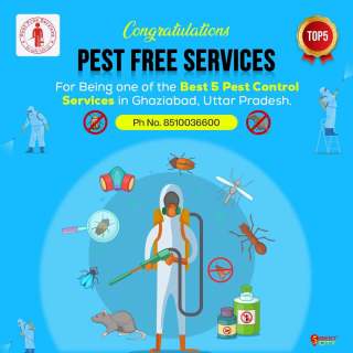 Pest Free Services | Ghaziabad