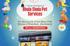 Pet Stores