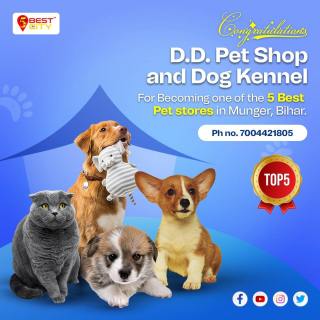 D.D. Pet Shop and Dog Kennel | Munger