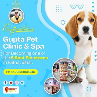 Gupta Pet Clinic & Spa | Patna