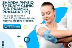 Physiotherapists