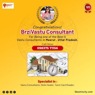 BrziVastu Consultant | Meerut